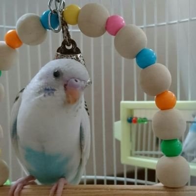 Wataru Morita(@tascript)'s avatar
